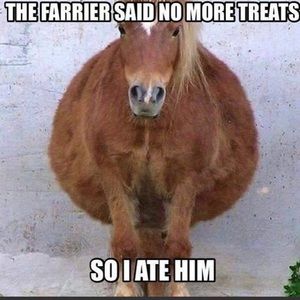 Meet your Posher, Logan